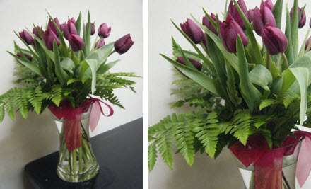 Efflorescence