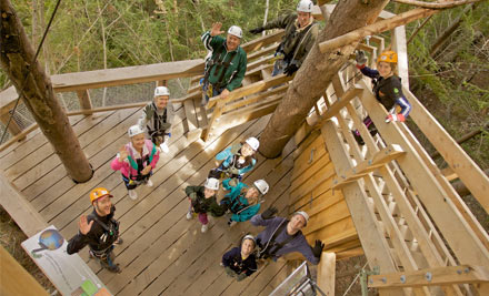 Ziptrek Ecotours