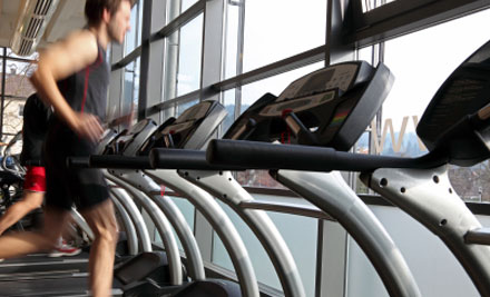 PRO FIT Te Awamutu