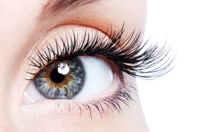 Lash Secrets