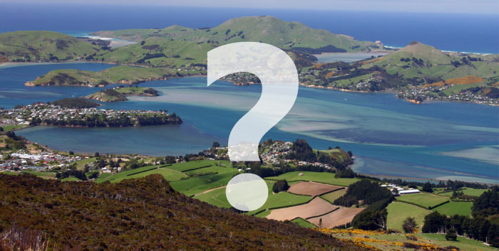 Dunedin 3+ Star Mystery Hotel