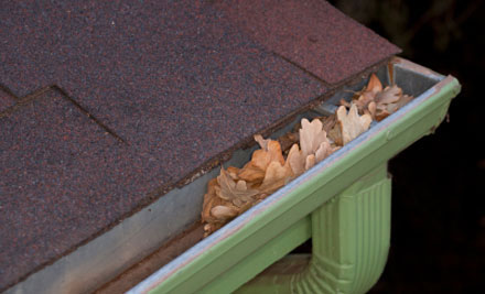 One Stop Property Services