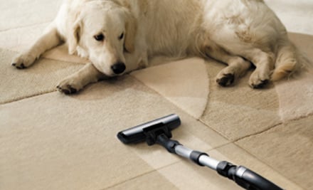 Fast Cleaning Services