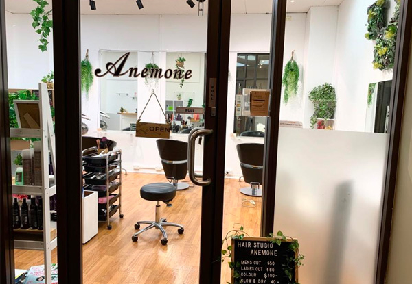 Hair Salon Anemone