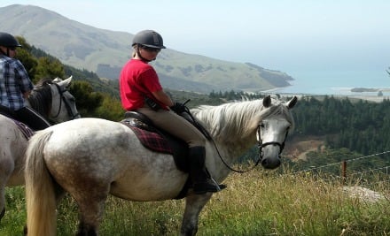 2.5 hr Guided Horse Trek