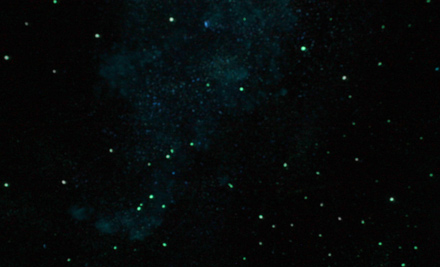 Starlight Ceilings