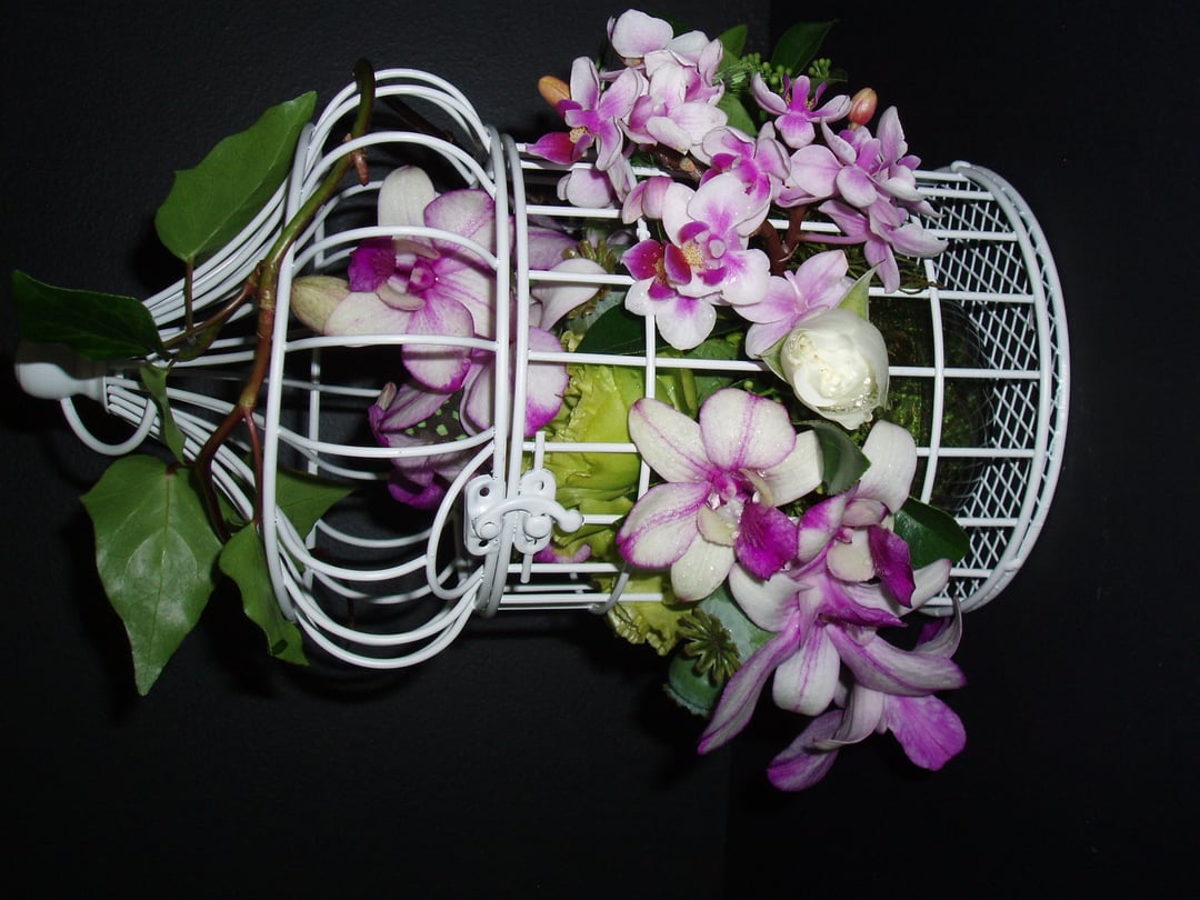 Twigs