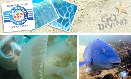 Queensland Scuba Diving