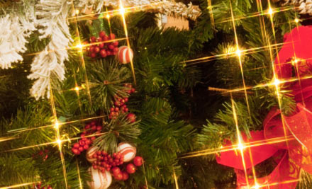 Zee's Christmas Trees