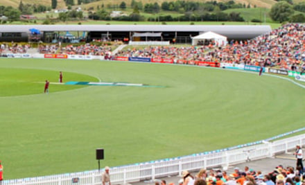 Cricket Academy NZ