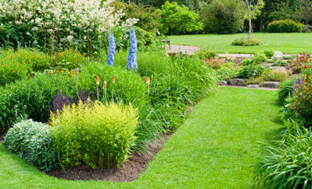 Knox Landscaping