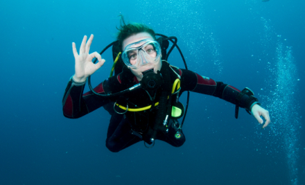 Windang Dive and Spearfishing