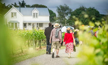 Toast Martinborough Weekend Wine Tour