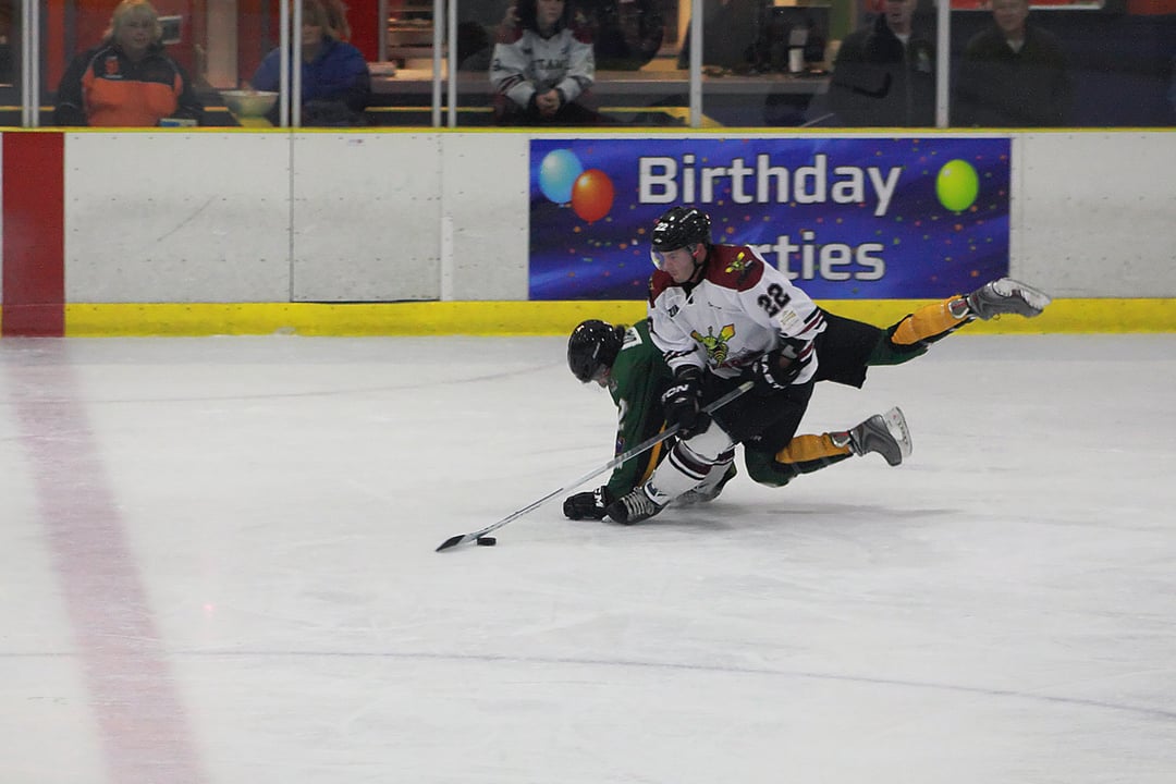 Botany Swarm Ice Hockey