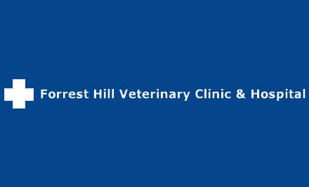 Forrest Hill Vet Clinic