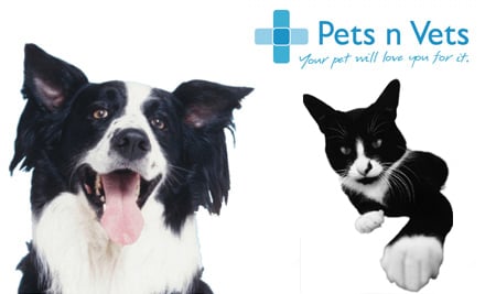 Pets n Vets Christchurch