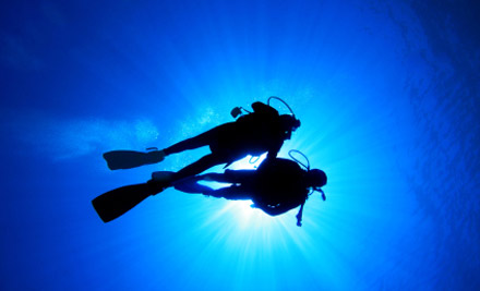 Performance Diver