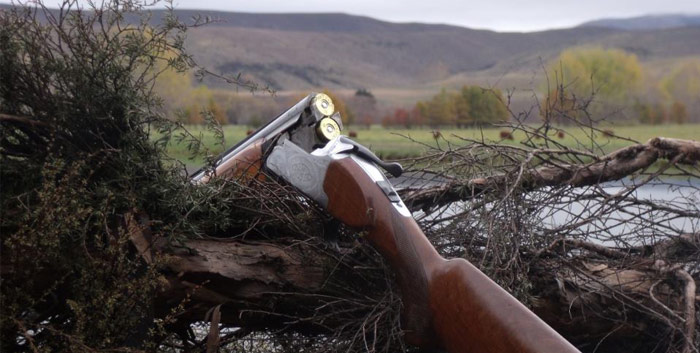 Aspiring Trophy Hunting - Lake Wanaka