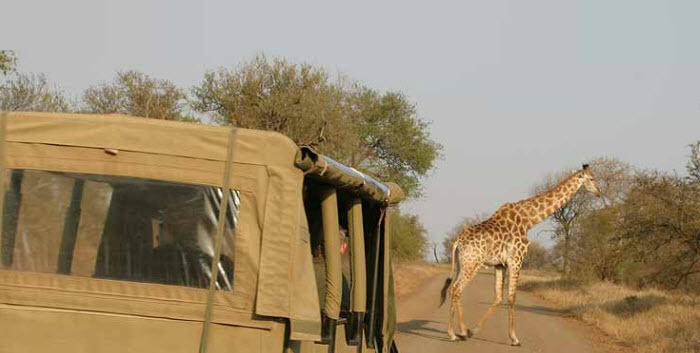 Royal Kruger Lodge - South Africa