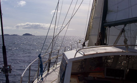 Whangaroa Yacht Charters