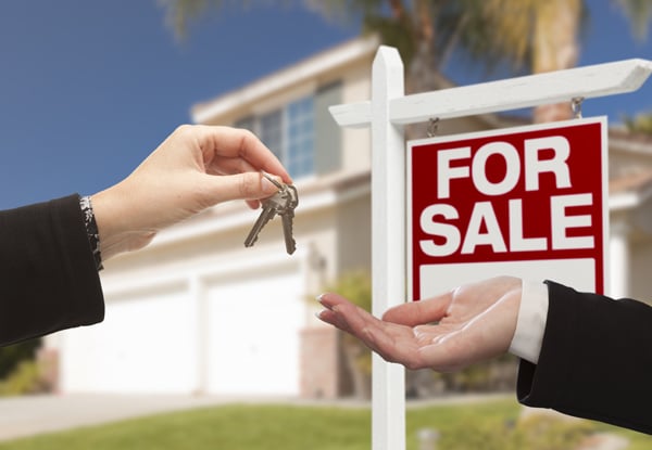 Professionals Real Estate Wellington
