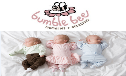 Bumble Bee Memories and Occasions