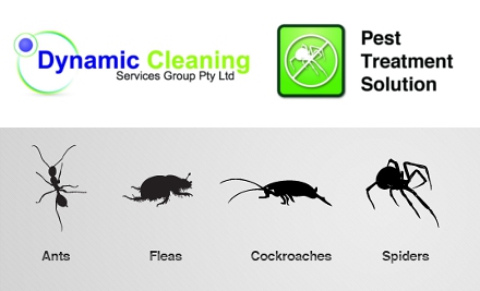 Dynamic Cleaning