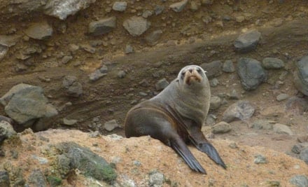 Eden Wildlife Cruises, Cafe & Boat Hire