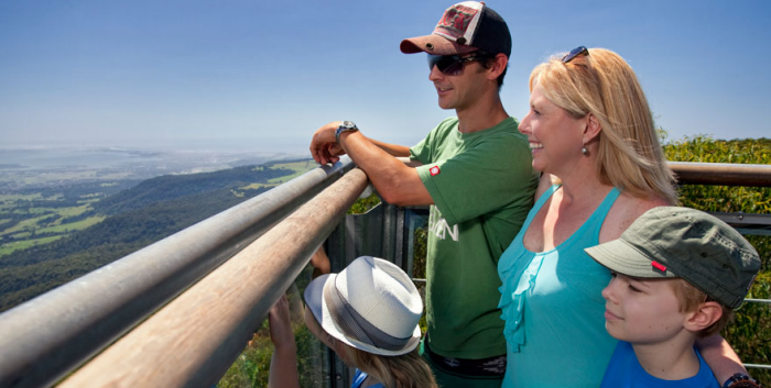 Otway Fly Treetop Adventure & Around And About - Melbourne