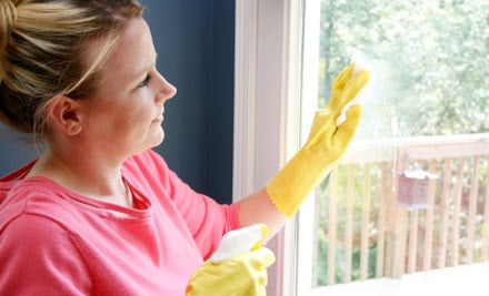 The Tidy Team
