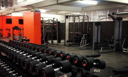 The Fitness Department