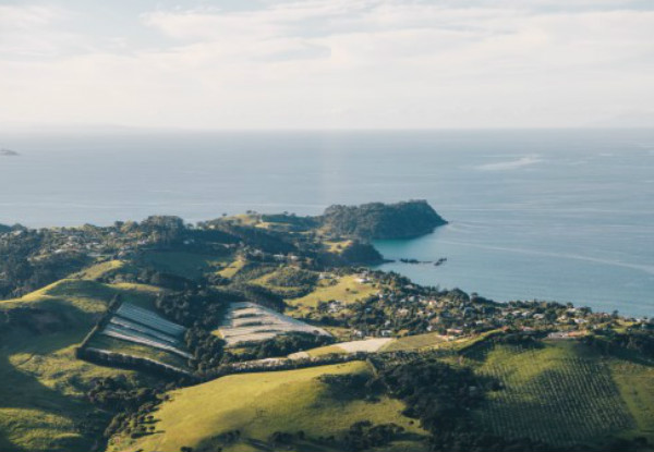Waiheke Heli Wine Tasting - Options for up to Six People