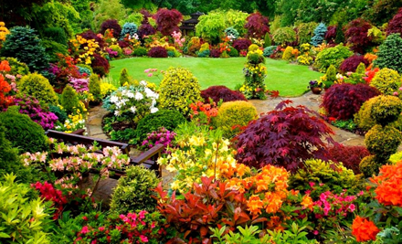 Palmers Gardenworld Whangarei