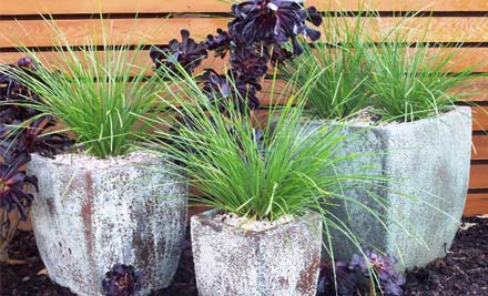 Elements Home & Garden