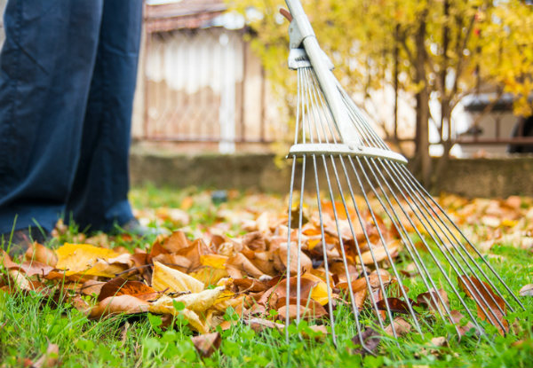 Darcy Lawns, Gardening & Landscaping