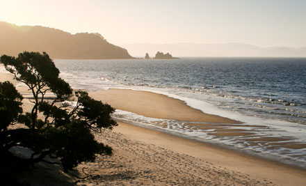 Scott Crawford Photography