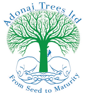 Adonai Trees Ltd