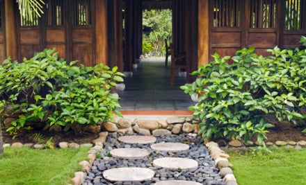 The Real Garden Company
