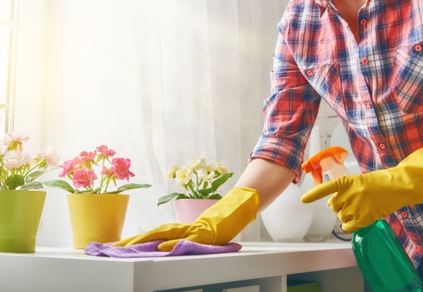 Gold Service Cleaning