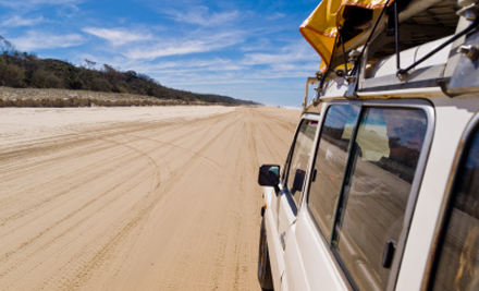Coastal Island Safaris