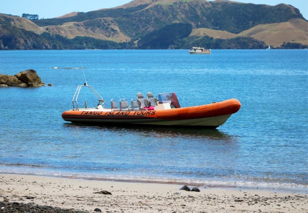 Return Boat Trip to Explore One of the Stunning Islands in the Bay of Islands - Three Island - Options for up to Six People