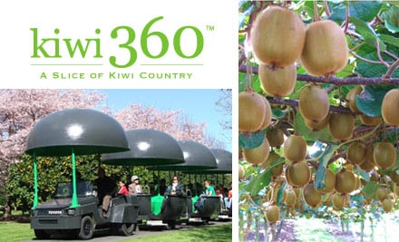 Kiwi 360