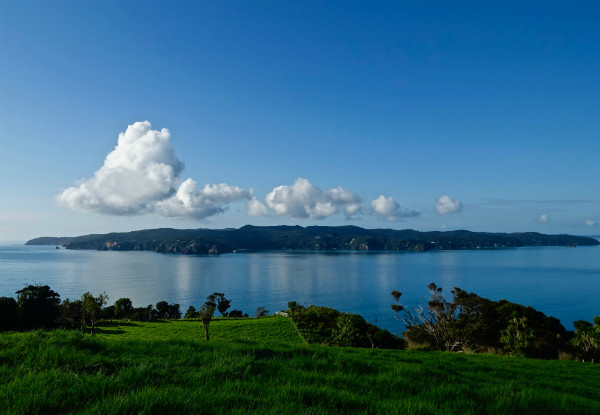 Matakana Coastal Walks
