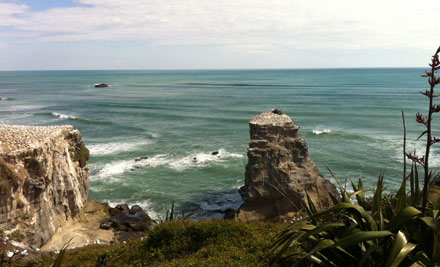 Vineyards Honey & Black Sand Beaches Wine Tour