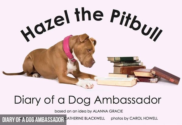 The Hazel The Pitbull Foundation