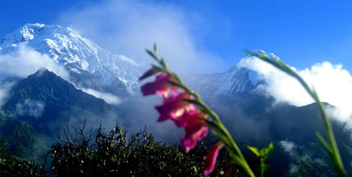 Trek N Tours - Annapurna Royal Trek Nepal