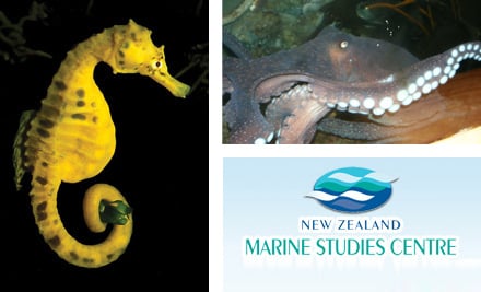 Dunedin Aquarium & Marine Studies Centre