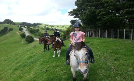 1 Hour Horse Trek Adventure
