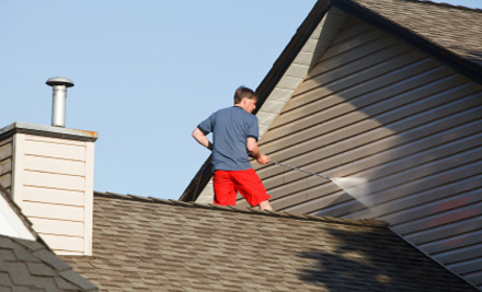 Reg Hopper Roof Painter