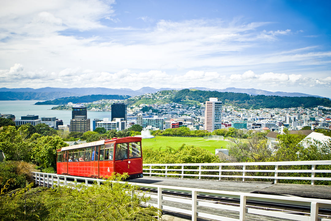 Hammonds Wellington Tours